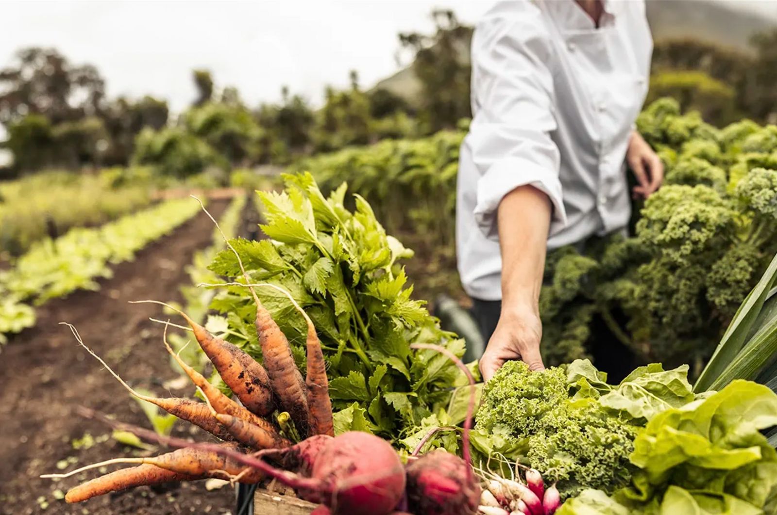 ARIFRUT participar en la primera edicin de EXPO SAGRIS junto a FEPEX